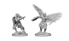 Aasimar Figher Male (Nolzurs - W06)